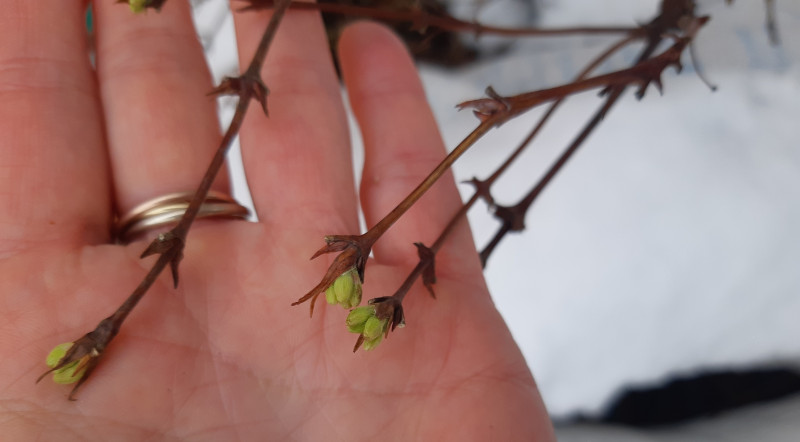 20191207_102000.jpg