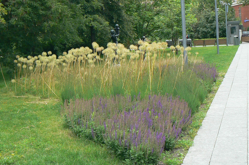 P1220484.JPG