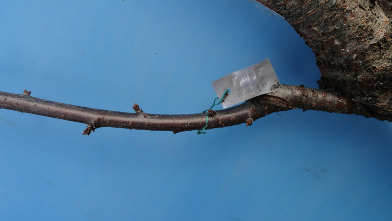 DSC09114-01.jpg