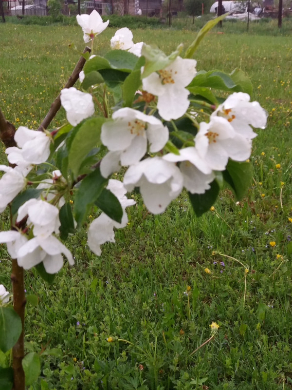 20190515_194343.jpg