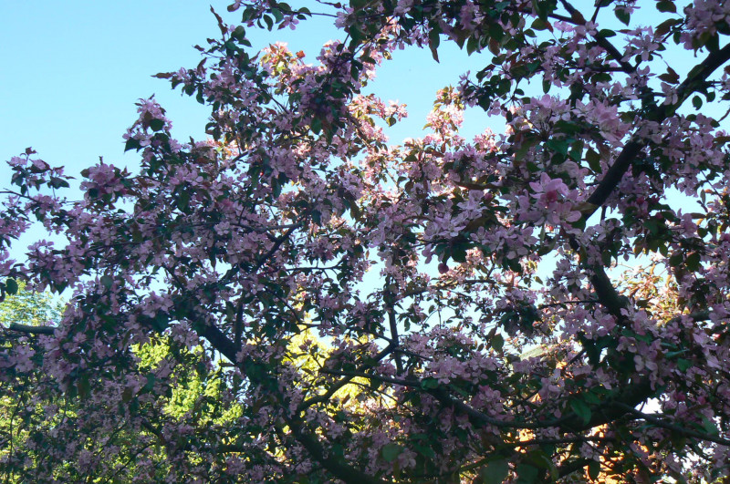 P1430432.JPG