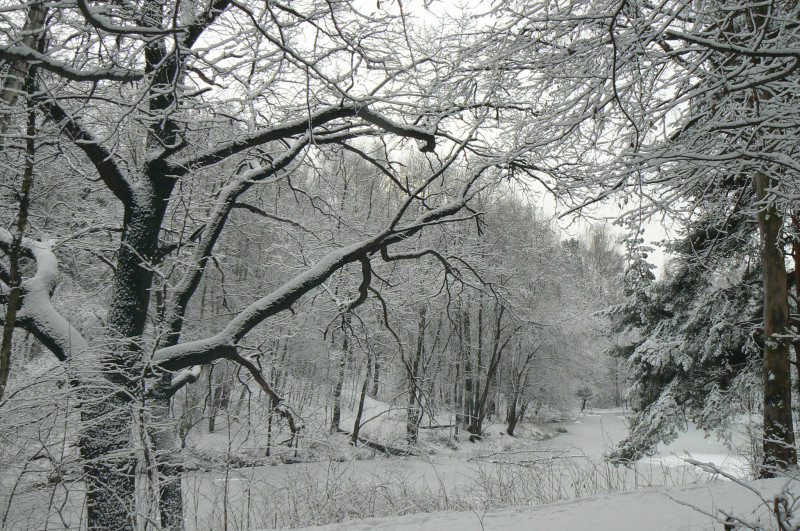 P1480284.JPG