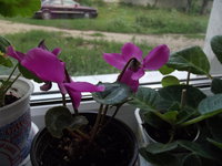 DSCF1289.jpg