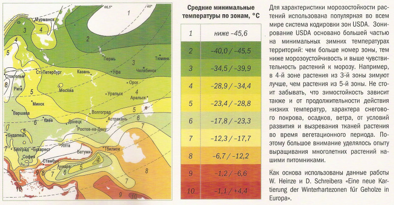 image_1579005884356.jpg