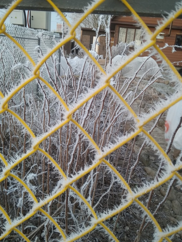 IMG_20200111_155240.jpg