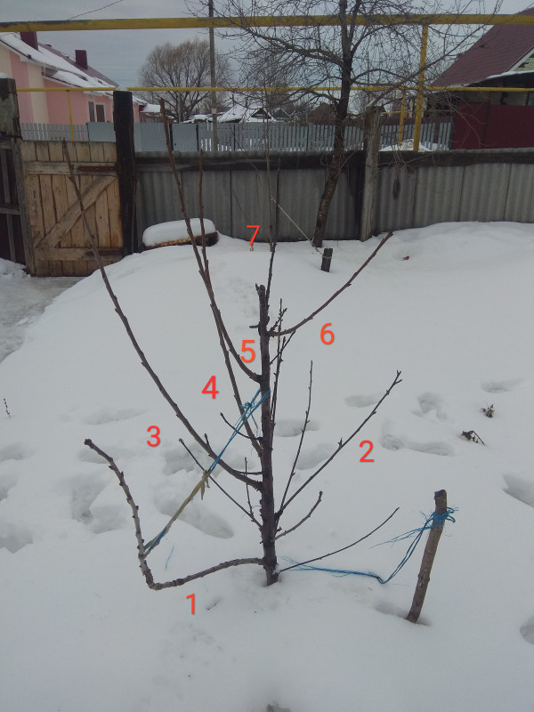 IMG_20200118_150355.jpg