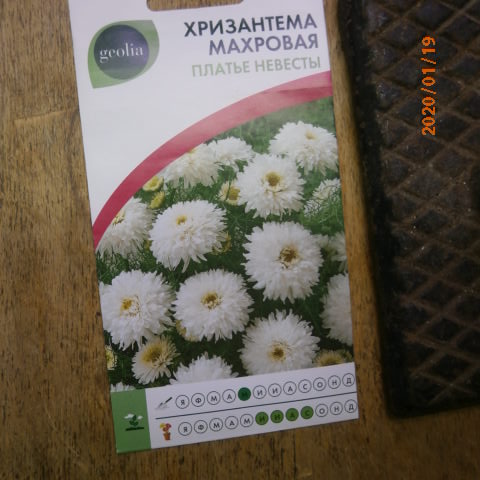 P1194363.JPG
