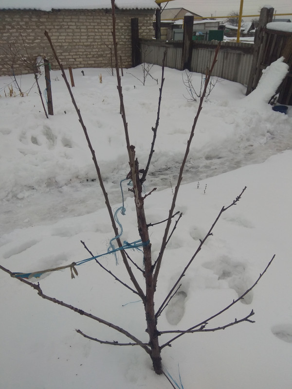 IMG_20200118_104233.jpg