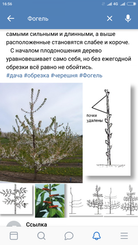 Screenshot_2020-01-21-16-56-55-333_com.vkontakte.android.png