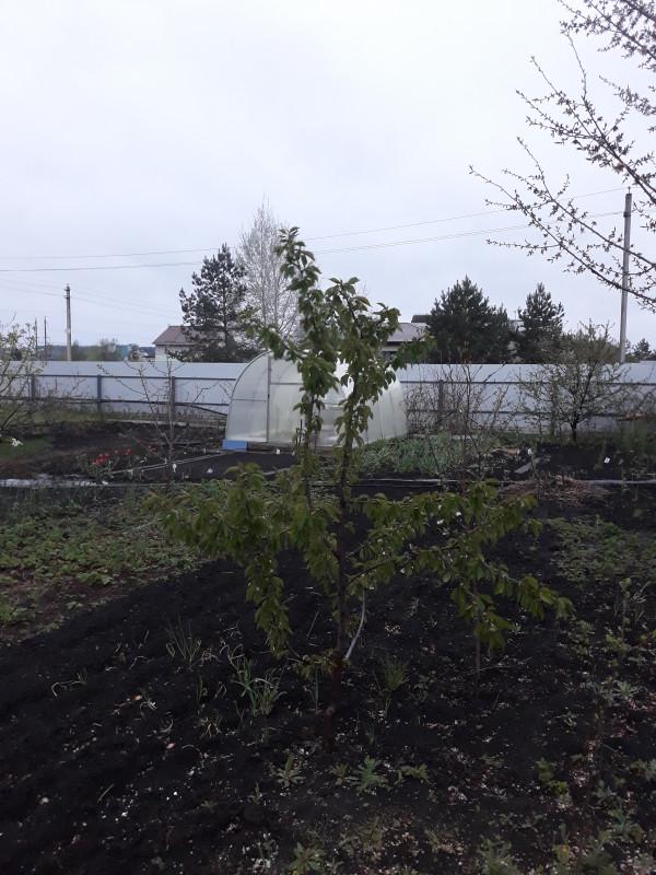 20190501_193314.jpg