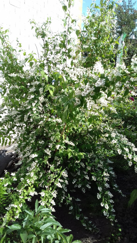 20170618_172145.jpg