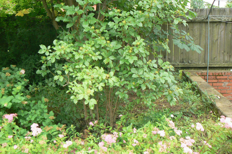 P1440835.JPG