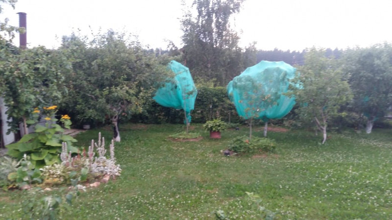 IMG-20200116-WA0006.jpg