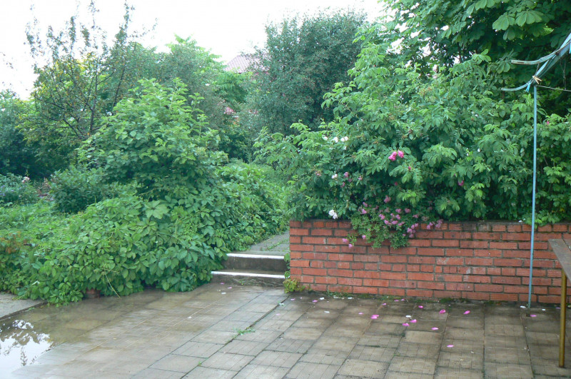 P1210976.JPG