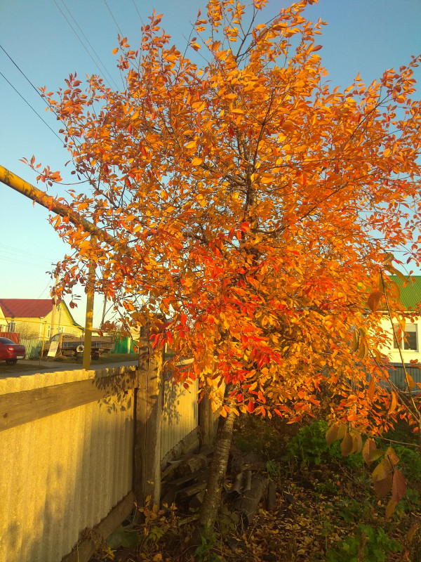 2019-10-28 08-10-05.JPG