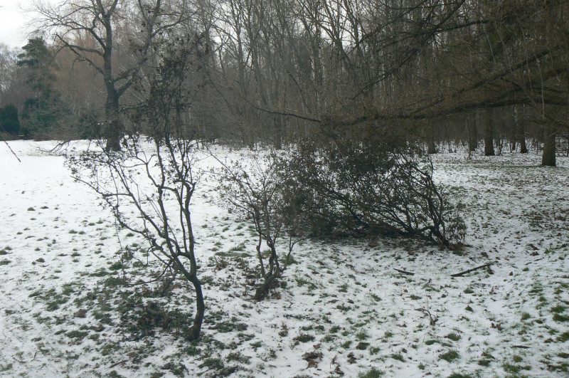 P1480370.JPG
