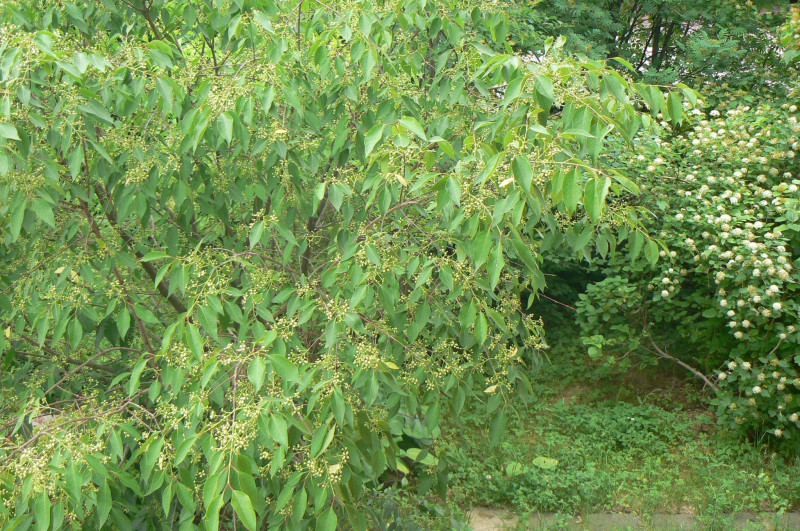 P1440026.JPG