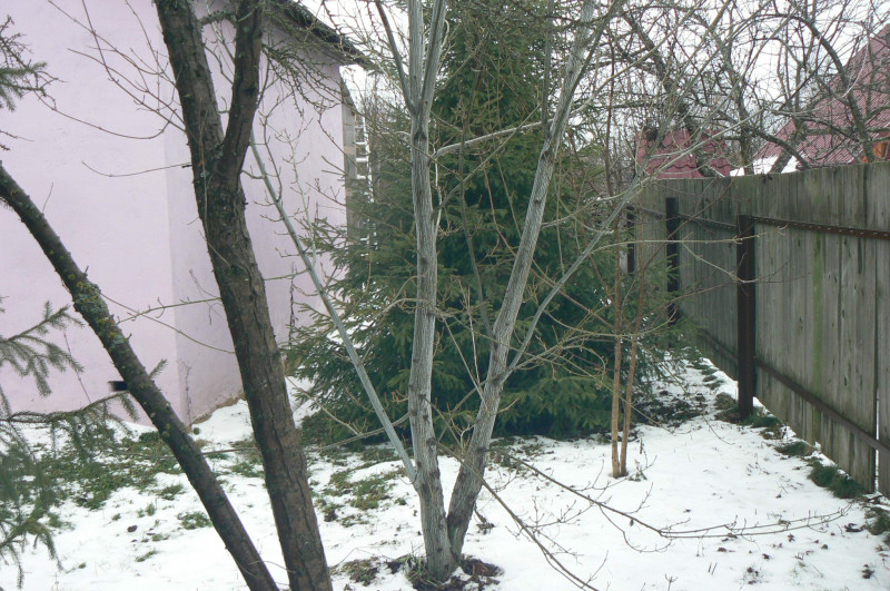 P1470778.JPG