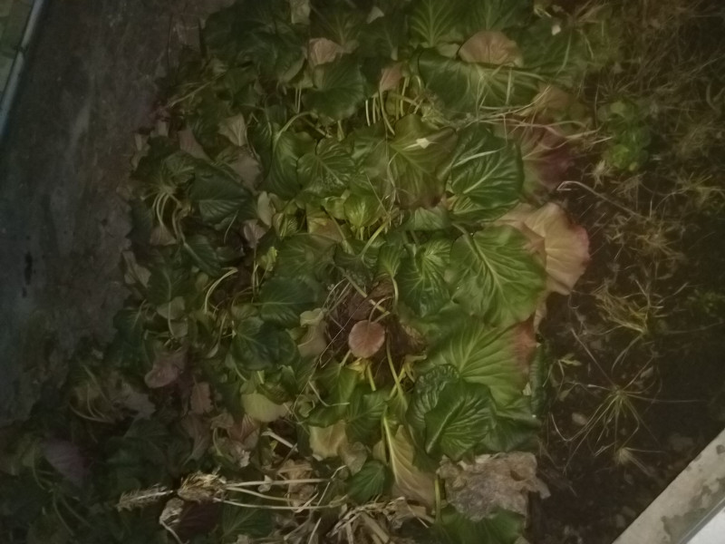 IMG_20200127_173855.jpg