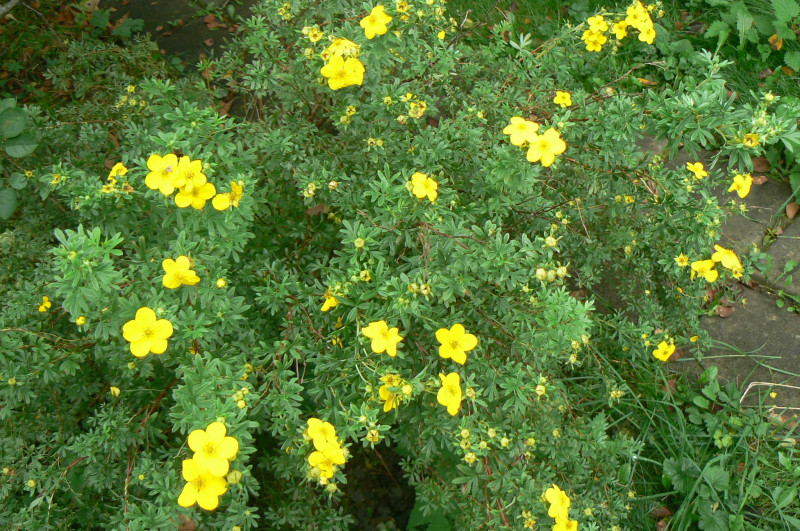 P1460554.JPG