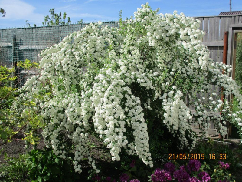 IMG_0715.JPG