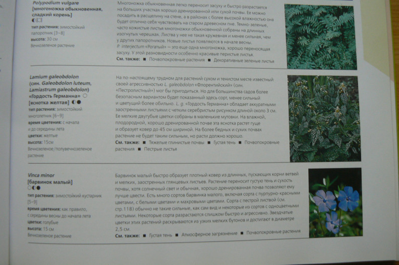 P1480418.JPG