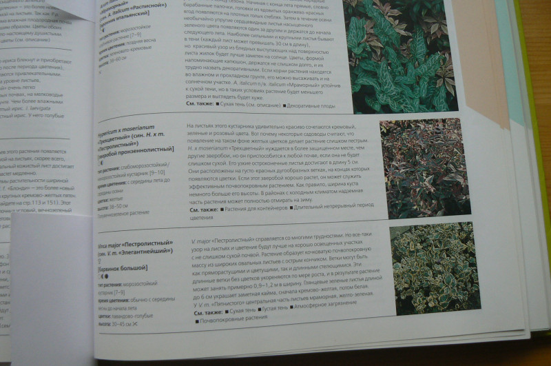 P1480416.JPG