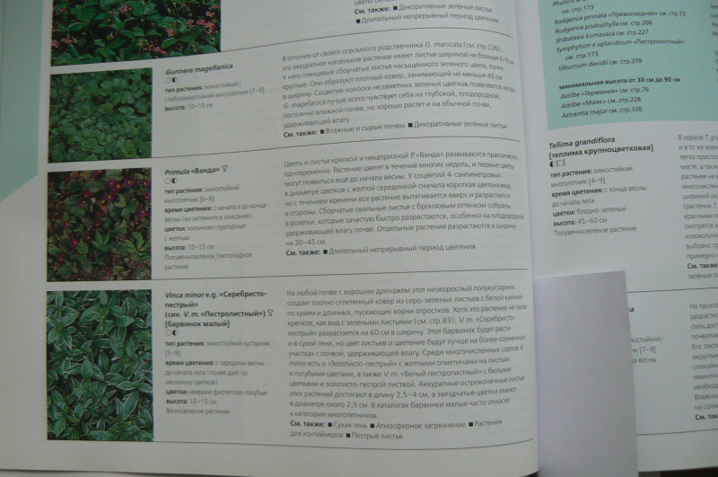 P1480417.JPG