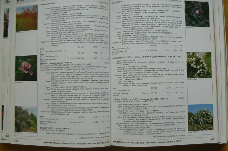 P1480419.JPG