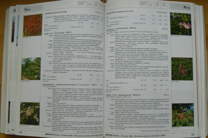 P1480420.JPG