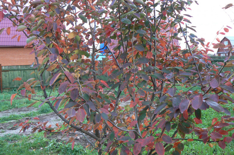 P1080780.JPG