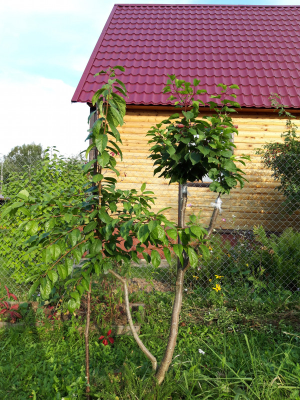 20190913_164044 (wecompress.com).jpg