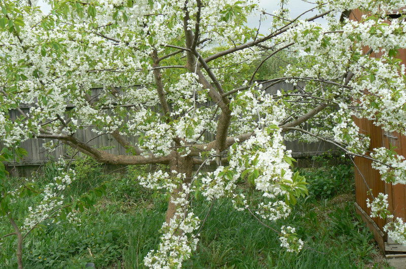 P1200577.JPG