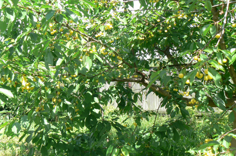 P1220172.JPG