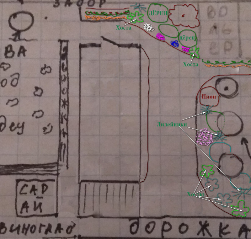 Иринабог31.jpg
