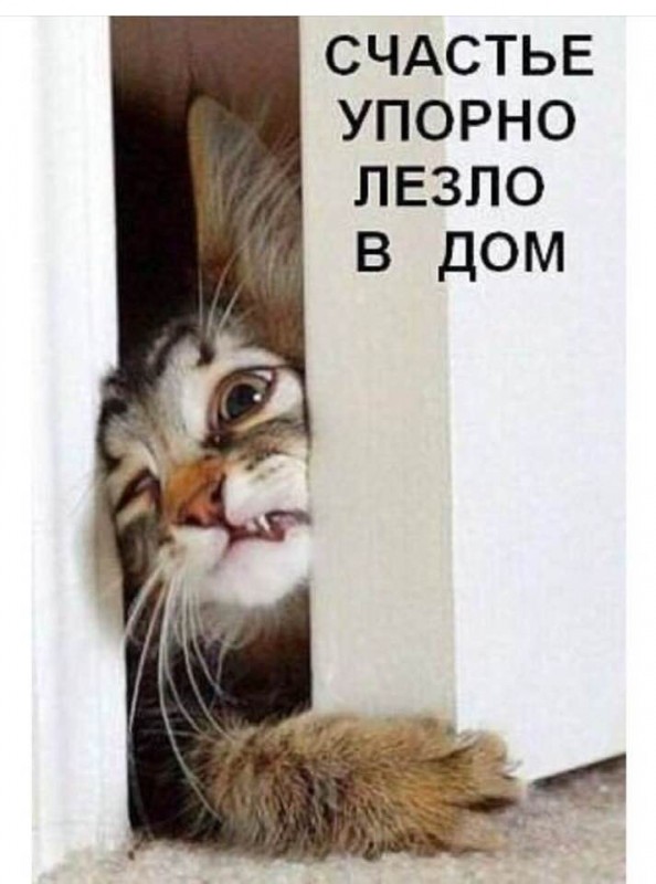 image-2019-11-15t14-03-25-440z-png-shaste.jpg