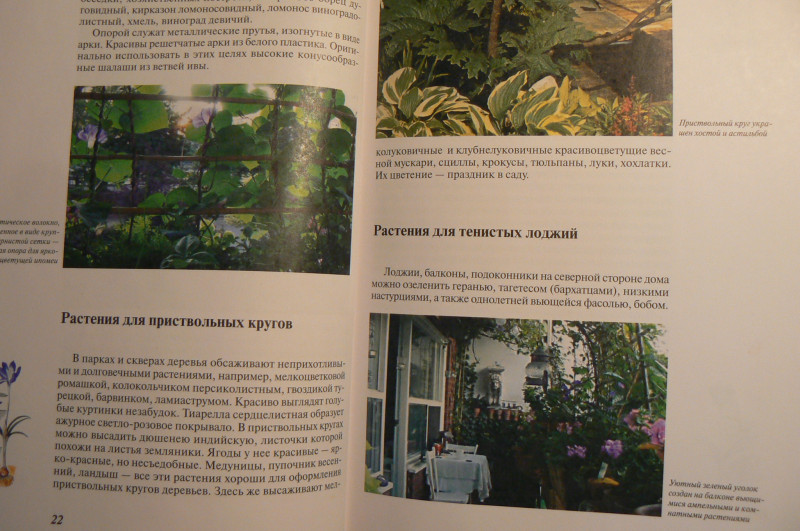 P1480528.JPG