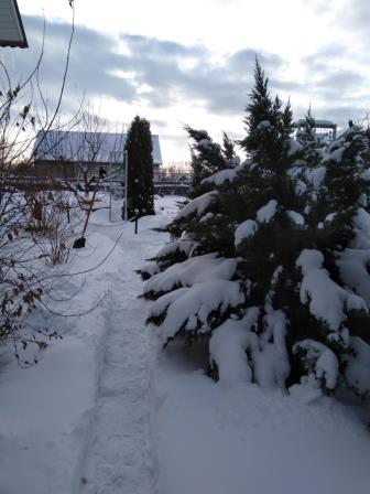 MVIMG_20181229_140045.jpg