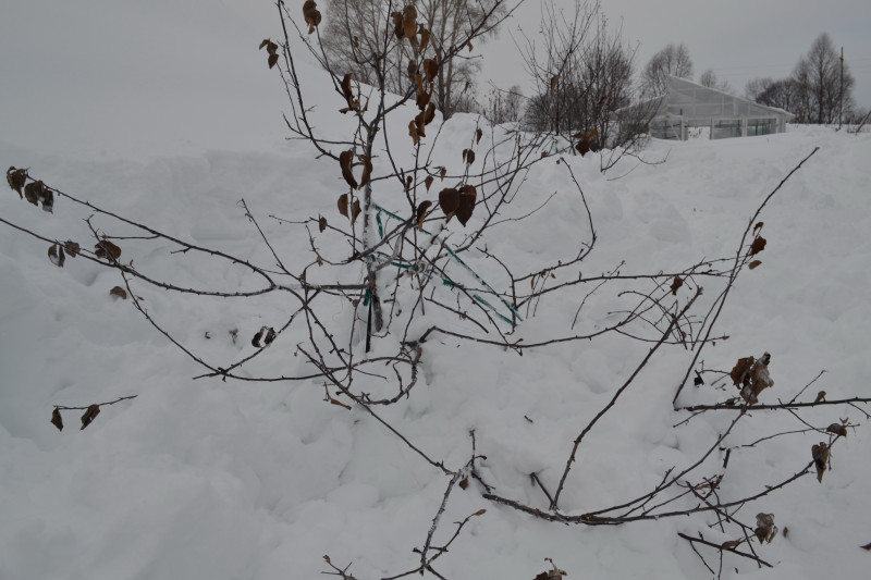 DSC_0197.jpg