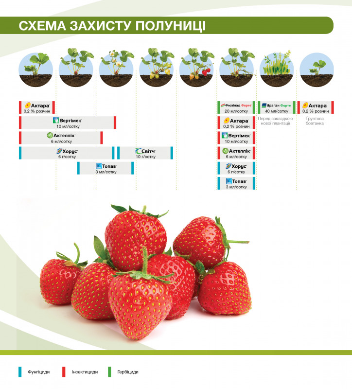 7041_fruitsprotection_brochure_190x210_2018_dba10_0.jpg
