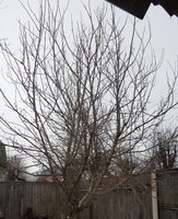 DSCN1509.JPG