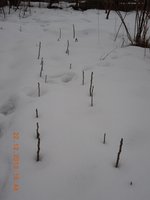 DSCN1511.JPG