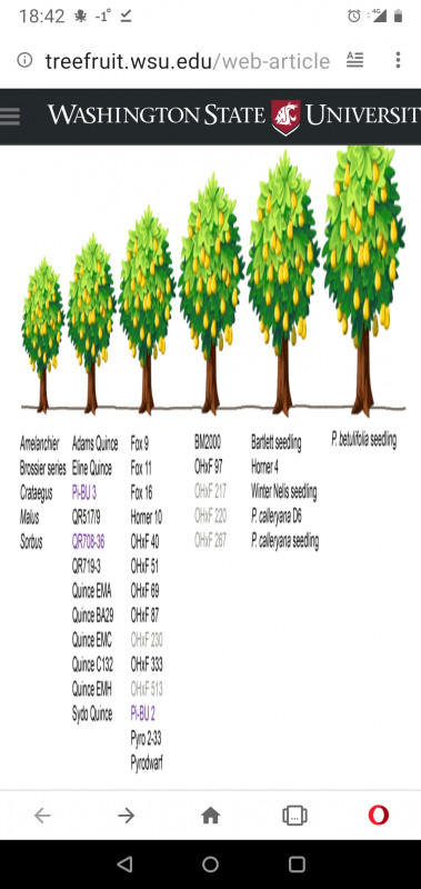 Screenshot_20200209-184220.jpg