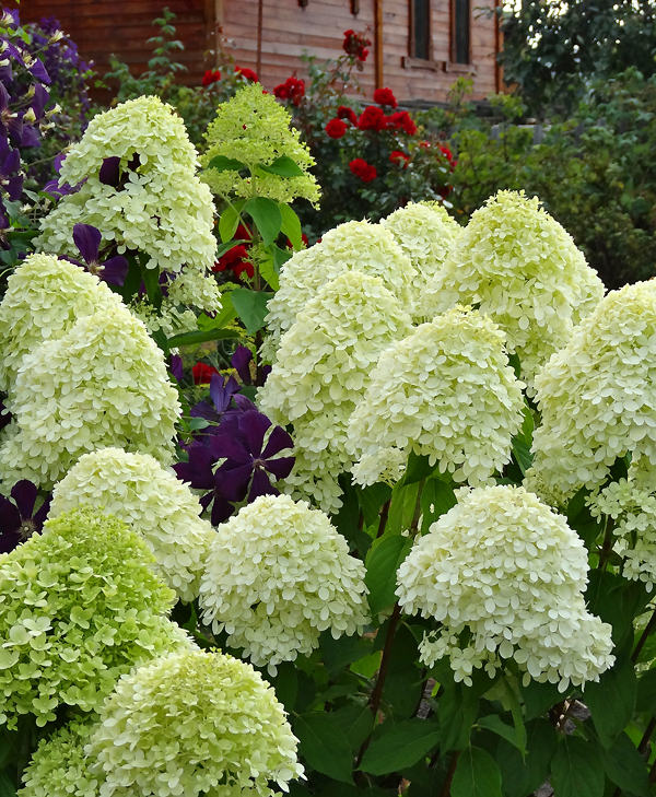 DSC02586_.jpg