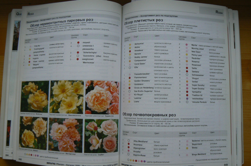 P1480664.JPG