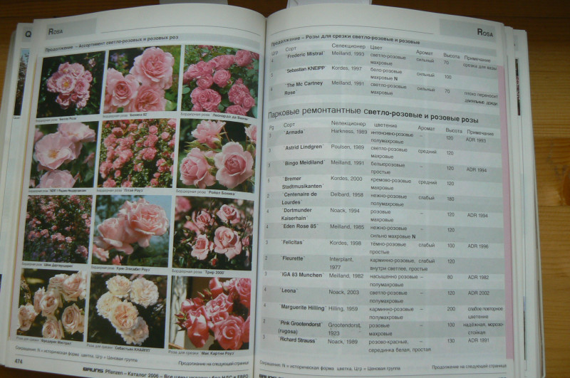 P1480677.JPG