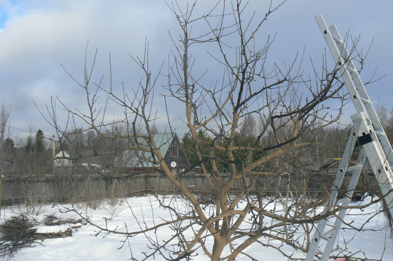 P1480727.JPG