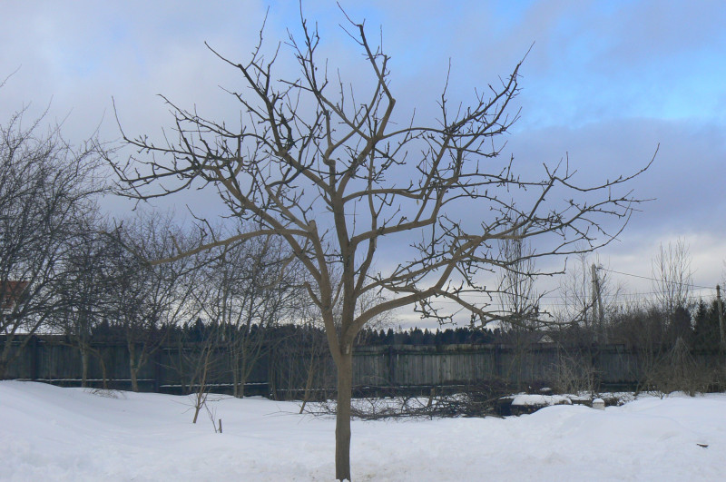 P1480736.JPG