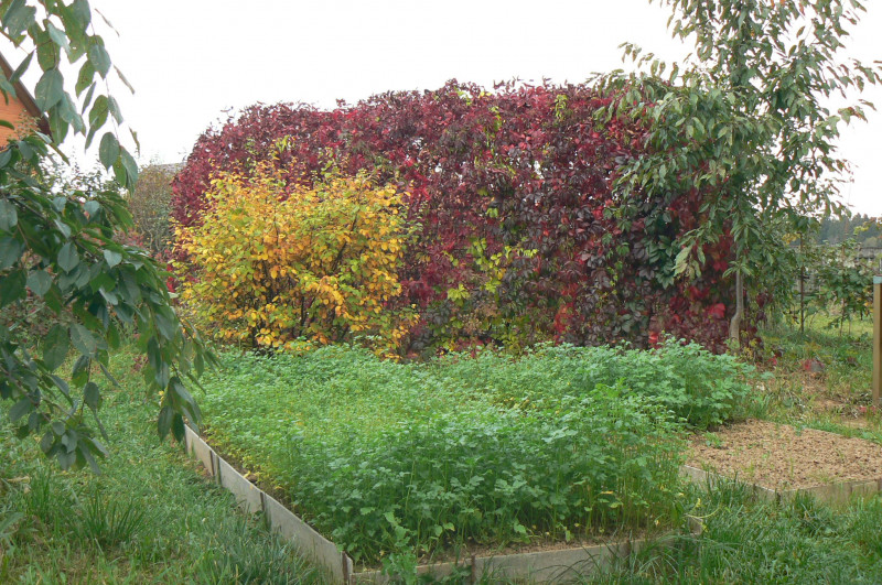 P1240020.JPG