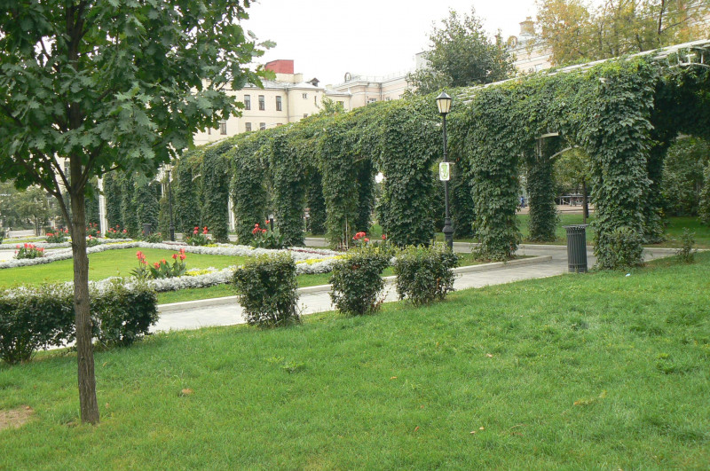 P1150987.JPG